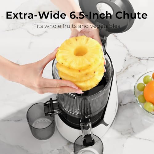 3-in-1 Cold Press Juicer with Multi-Use Design