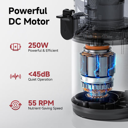 Cold Press Juicer with 6-Inch Wide Feed Chute