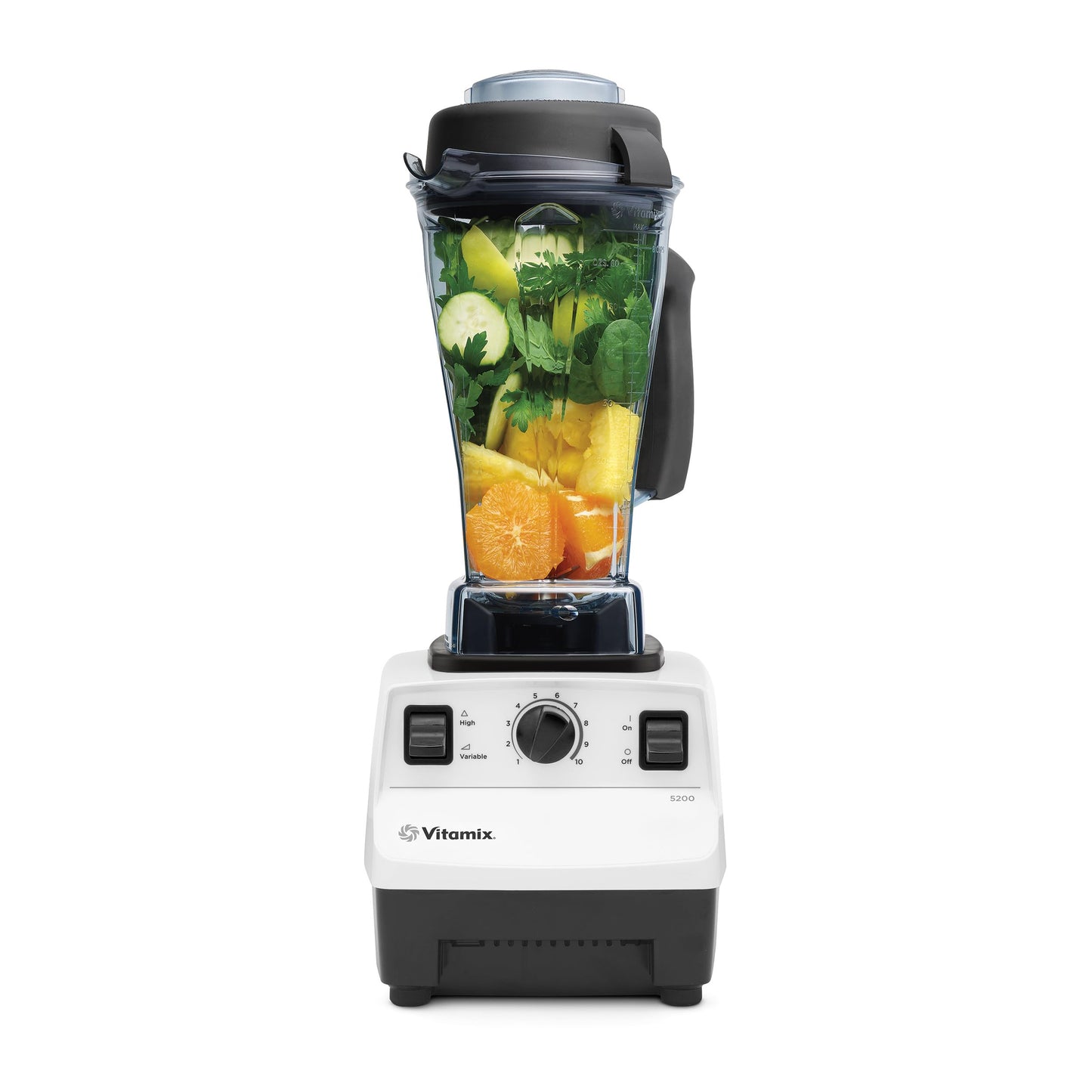 High-Performance Blender with Variable Speed Control